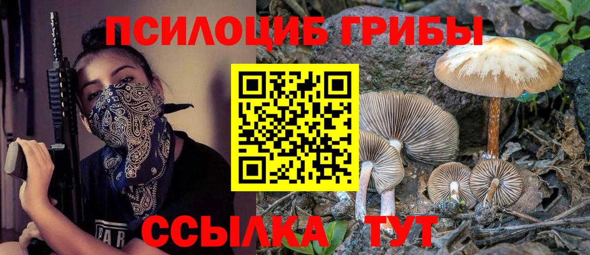 Галлюциногенные грибы Magic Shrooms Гагарин