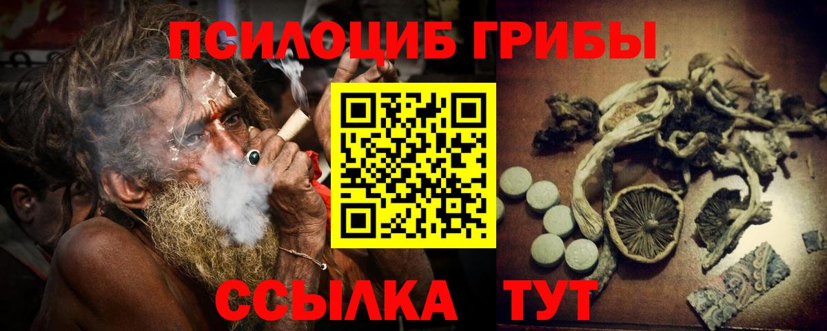 Псилоцибиновые грибы MAGIC MUSHROOMS  цены наркотик  Вход с VPN  Гагарин  Псилоцибиновые грибы GOLDEN TEACHER 